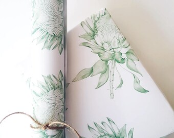 PROTEA/Green/GIFT WRAP/Wrapping Paper/Hand Drawn/Botanical Art