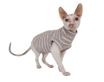Kotomoda CAT WEAR Turtleneck maxi New Pajamas