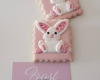 Decorated Easter Bunny Cookies Custom Colors Available ~1 Dozen~Frost Yourself Cookies
