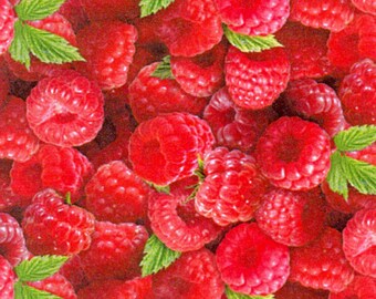 Raspberry Food Berry Good Elizabeth's Studio Fabric 1 yard