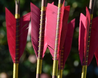 Archery Arrows, Medieval style wood arrows, set of 6 self nocked arrows, red and gold