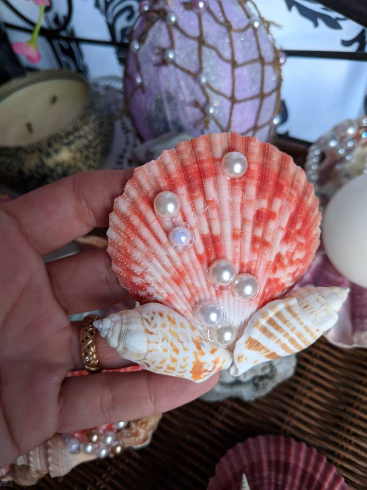 Seashell hair clip mermaid hair clip seashell hair