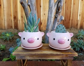 Pink baby pig cute animal/ kids planter pot with succulent