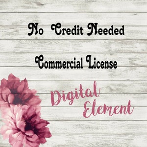 Commercial Use License: One Single Design Use - (add-on- has to be purchased with the artwork)
