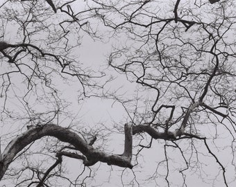 35mm b/w film photograph