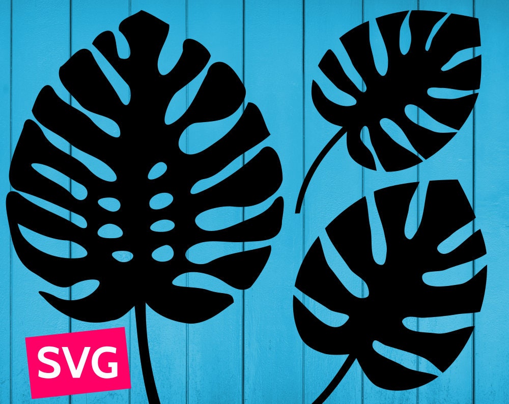 Download 3 Monstera Leaf SVG files for Cricut, SVG Bundle Monstera ...