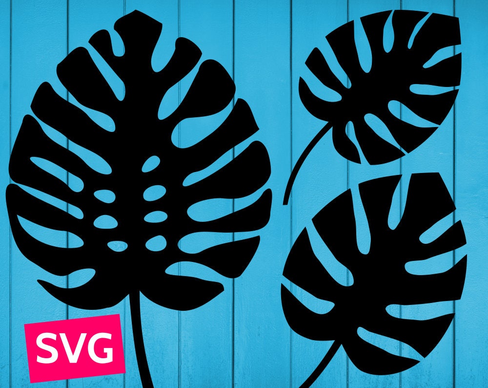 Download 3 Monstera Leaf SVG files for Cricut, SVG Bundle Monstera leaves SVG, Tropical leaf svg ...