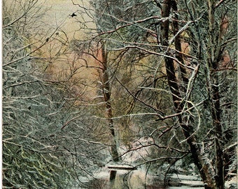 Louisville Kentucky Bargrass Creek near Cherokee Park Vintage Postcard 1908