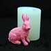 Cute realistic Rabbit, Silicone Candle mold Ornament Candle Soap Mould Fondant mold Polymer Clay Jewelry Soap Making Mold Melting Wax Resin