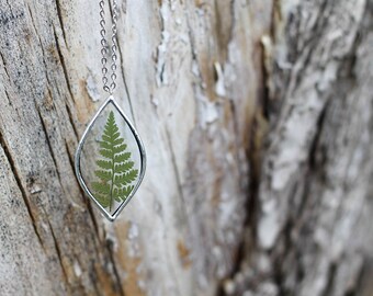 Fern . Mothers day gift. Terrarium necklace. Pressed fern necklace. Pressed flower jewelry. Botanical jewelry. Mother's Day necklace