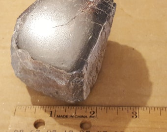 Beautiful Polished Red Dinosaur Bone Specimen