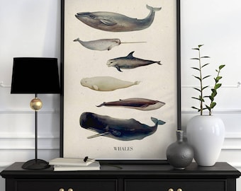 Whales A3 size poster, animal art, Wall art ,Nursery art , Giclee poster, Animal art, poster print SEA218WA3