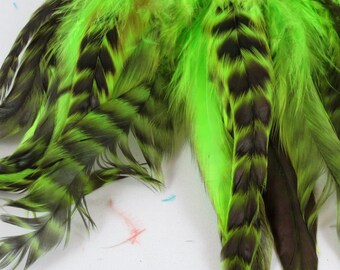 Lime Green Chinchilla Strung Schlappen Feathers 6 to 8 inches SCHCD 18 Chartreuse