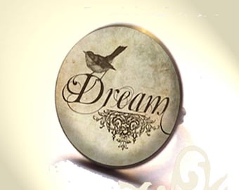 Bronze dream ring with glass dome.