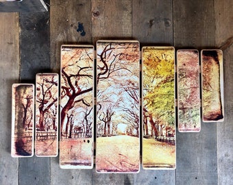 Central park 38x24 inches
