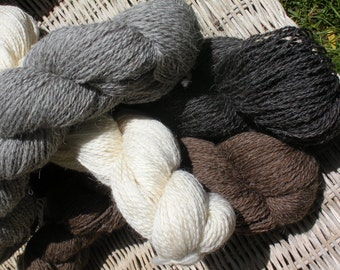 2 Skeins Deliciously Lovely Shetland Romney DK Weight Wool Sock Yarn
