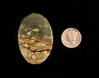 Cripple Creek Jasper Cabochon from Oregon