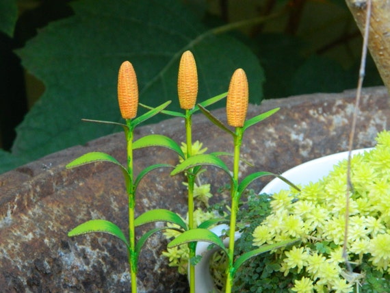 corn stalk