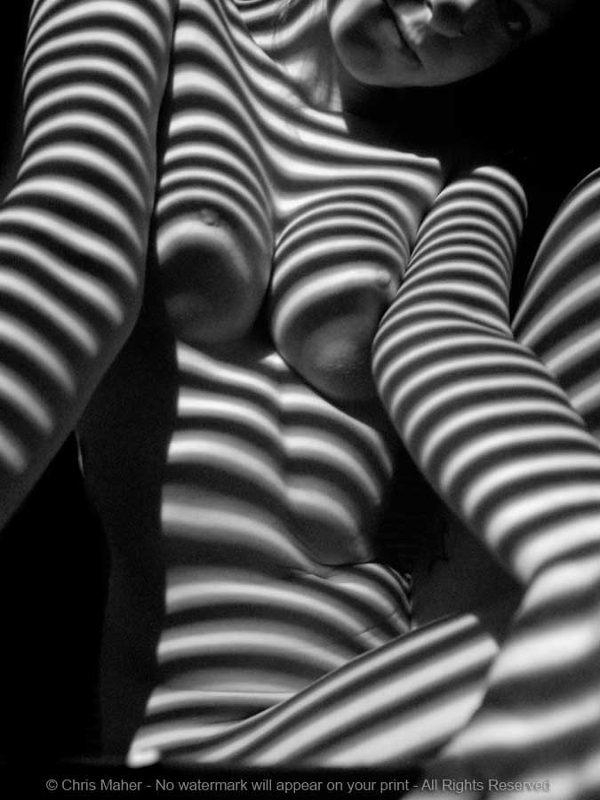 Zebra nude Nude Photos 78 Zebra nude Nude Photos 88