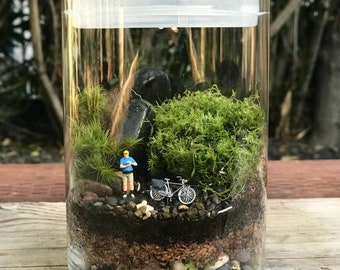 Live Moss Terrarium| Man With A Bicycle Terrarium