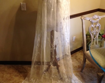 Glorious Antique Edwardian French Lace Veil