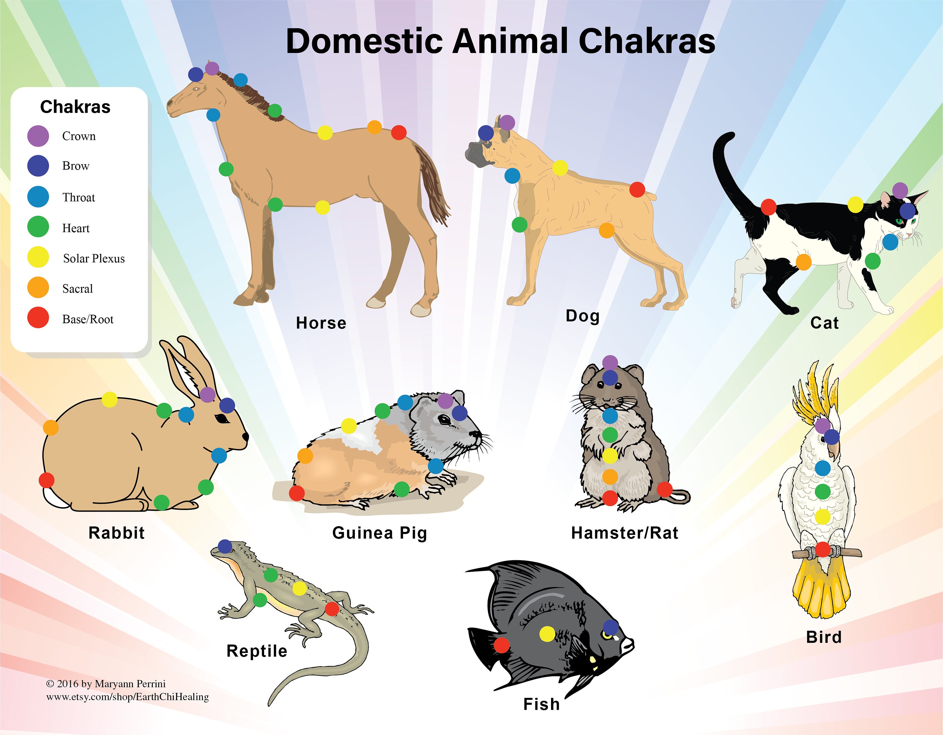 LAMINATED 7 Chakra Animal Pet Chart for Reiki Eastern Energy