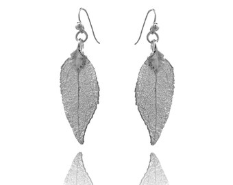 Silver Evergreen Leaf Earrings/Genuine Evergreen Earrings