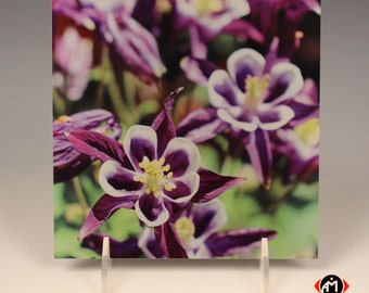 Purple Wildflowers on Brushed Aluminum