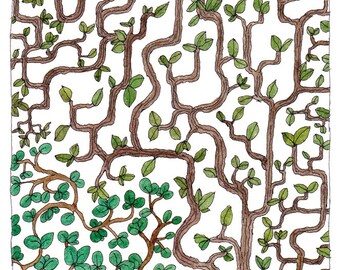 Two red birds in a maze