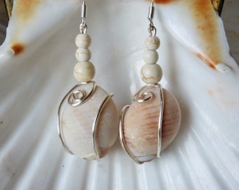 Wire wrapped sea shell earrings, real seashell earrings, natural shell earrings