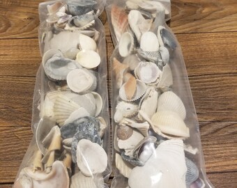 Seashells, shells, embellishments, bulk shells, shell decor, shell art, shell diy