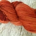 100gms 4ply Handpainted Merino/NylonYarn "Chestnut Filly"