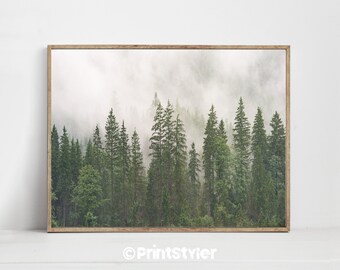 Forest wall art | Etsy