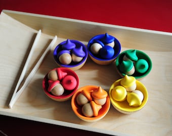 Back to School / Set of Rainbow Sorting Acorns, Bowls & a Tong /Educational Toy / Waldorf Wooden Toy / Montessori Toy