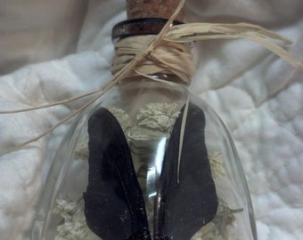 Black Fairy Wings Square Potion Bottle
