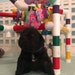 Puppy Play Gym for Early Development and Stimulation Free