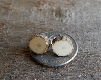 MINIATURE Rustic Holly Twig Wooden Stud Earrings by Tanja Sova