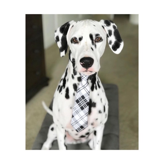 Dog Neck Tie || Neck Tie || Dog Tie || formal Dog Costume || Striped Blue Tie