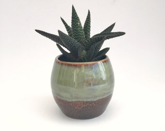 Various Cactus Planters, Cacti/Succulent Ceramic Pot, tumbler, beaker, Stoneware, artisan, UK studio pottery, approx 200-300ml