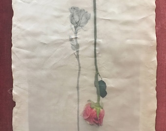 Limited Edition Handmade Silk Print