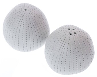 Ceramic Salt and Pepper Shakers