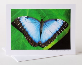 Photo Greeting Card, Photo Card, Blank Card, Nature Photo, Butterfly, Blue Butterfly, Blue Morpho,