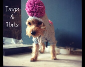 The Pom Pom pet hoodie. Dog/cat/puppy sweater jumper. Choose your bobble colour. Uk seller.