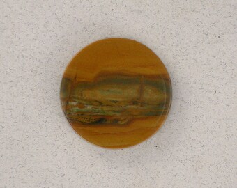 Owyhee Picture Jasper #1151