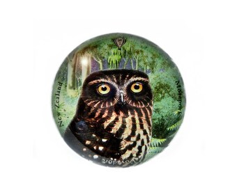 Paperweight: Morepork Owl In New Zealand Forest (Handmade)