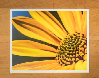 Photo Print of Golden Yellow Flower from DebSladekPhotography