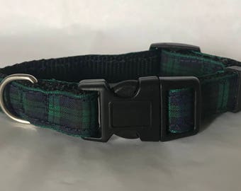 Dog collar, tartan, dark blue & green, black watch tartan