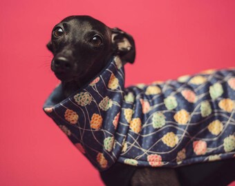 Italian greyhound clothes - original BERRY blouse for iggy with silky gloss