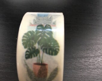House Plants Washi Tape Cactus Masking Tape