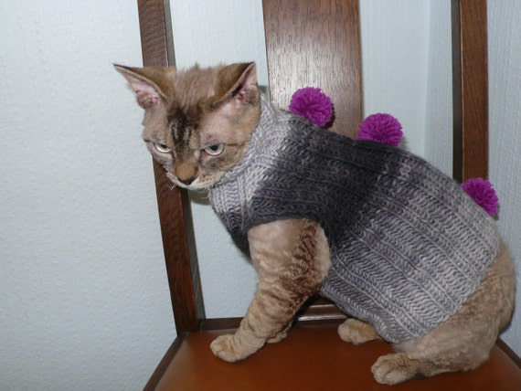 patron tricot pull pour chat
